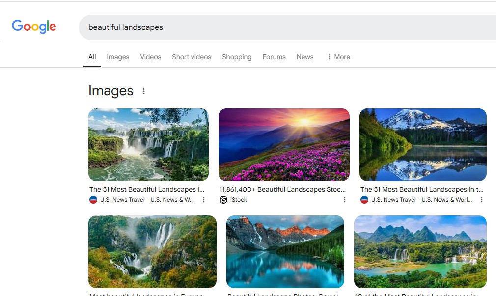 screenshot from google search results after searching for the term "beautiful landscapes" which shows image results. This proves how optimizing your images in seo can improve website your visibility
